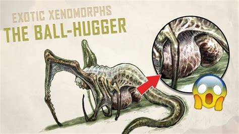 kgfacehuggers